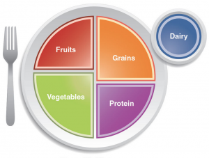 weight loss programs