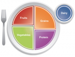 weight loss programs 