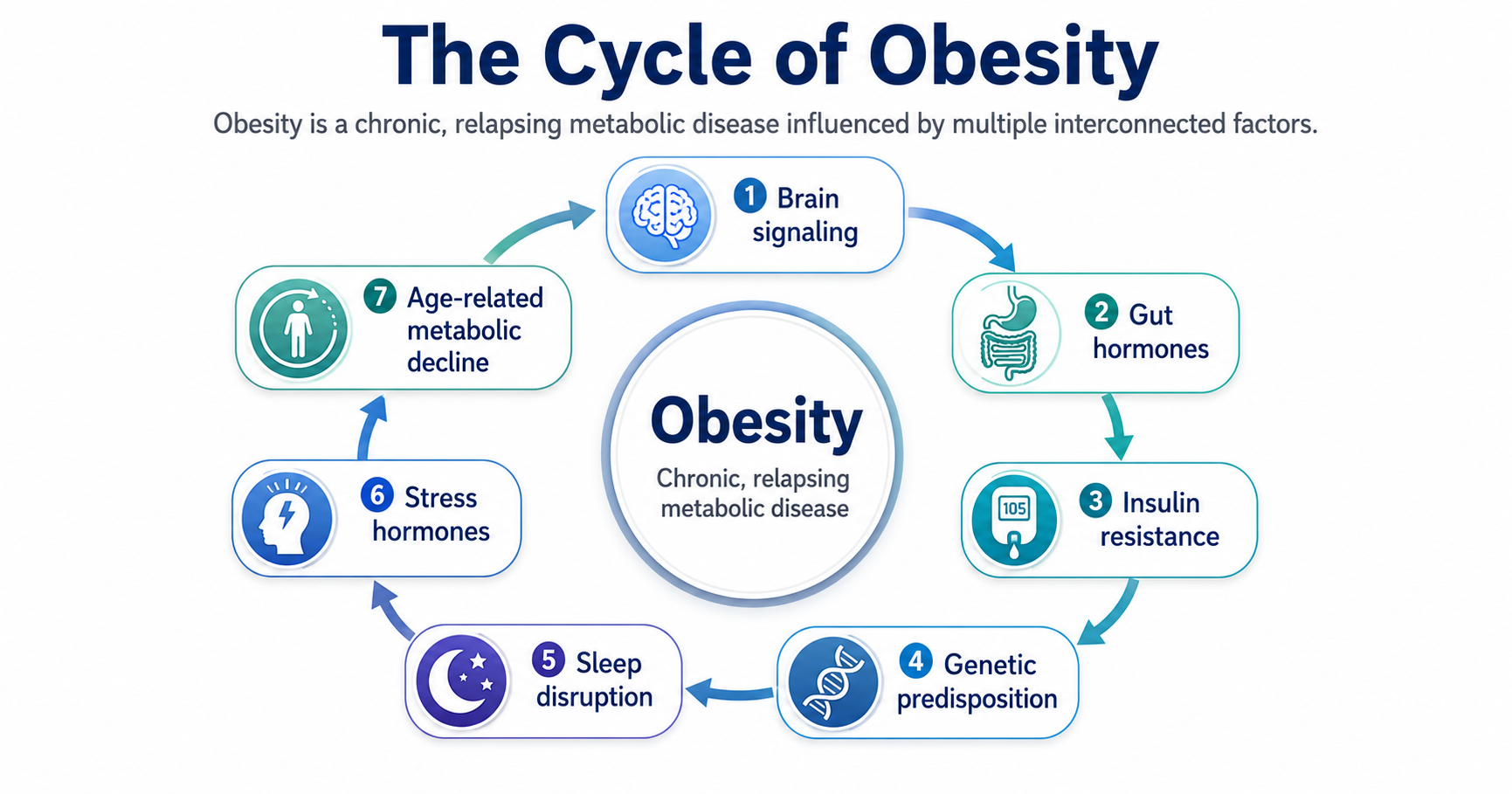 Illustration showing the cycle of obesity and related health factors